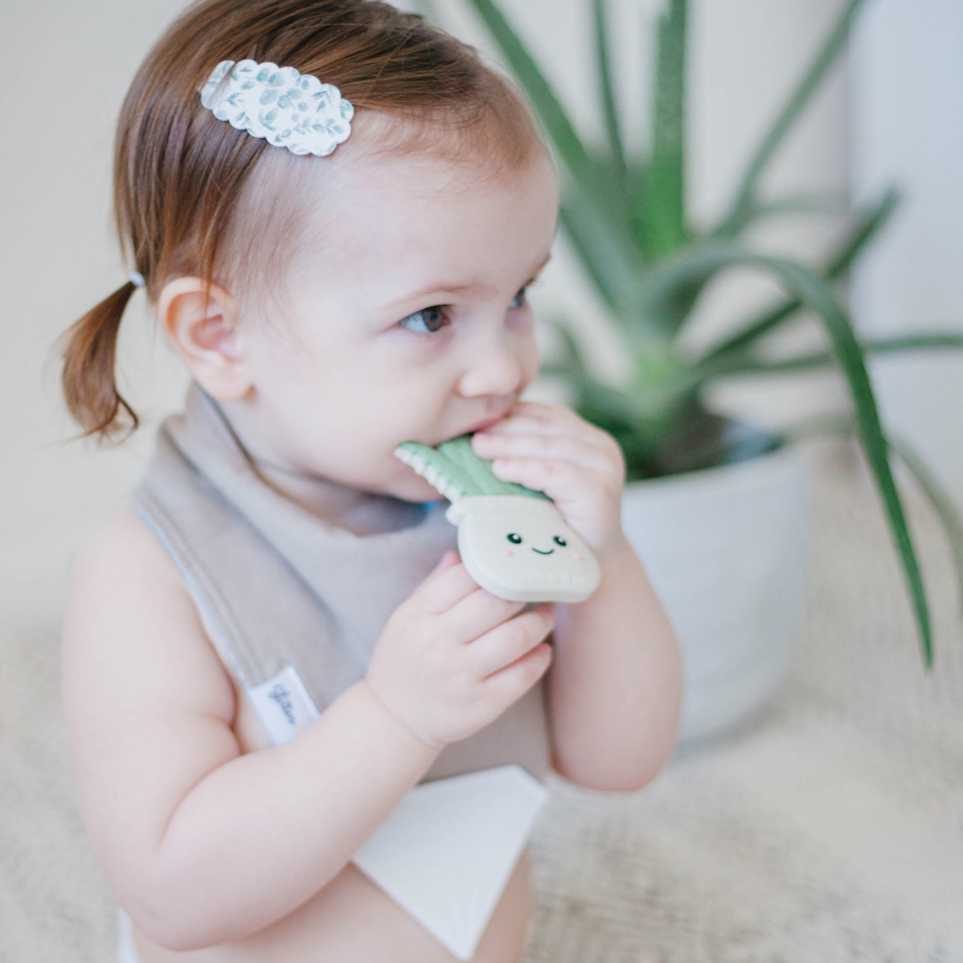 Plant Themed Teethers