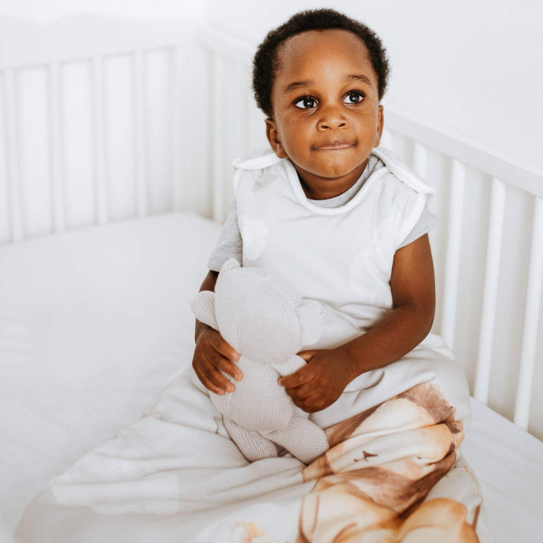 Baby boy sleeping bag 2.5 tog outlet