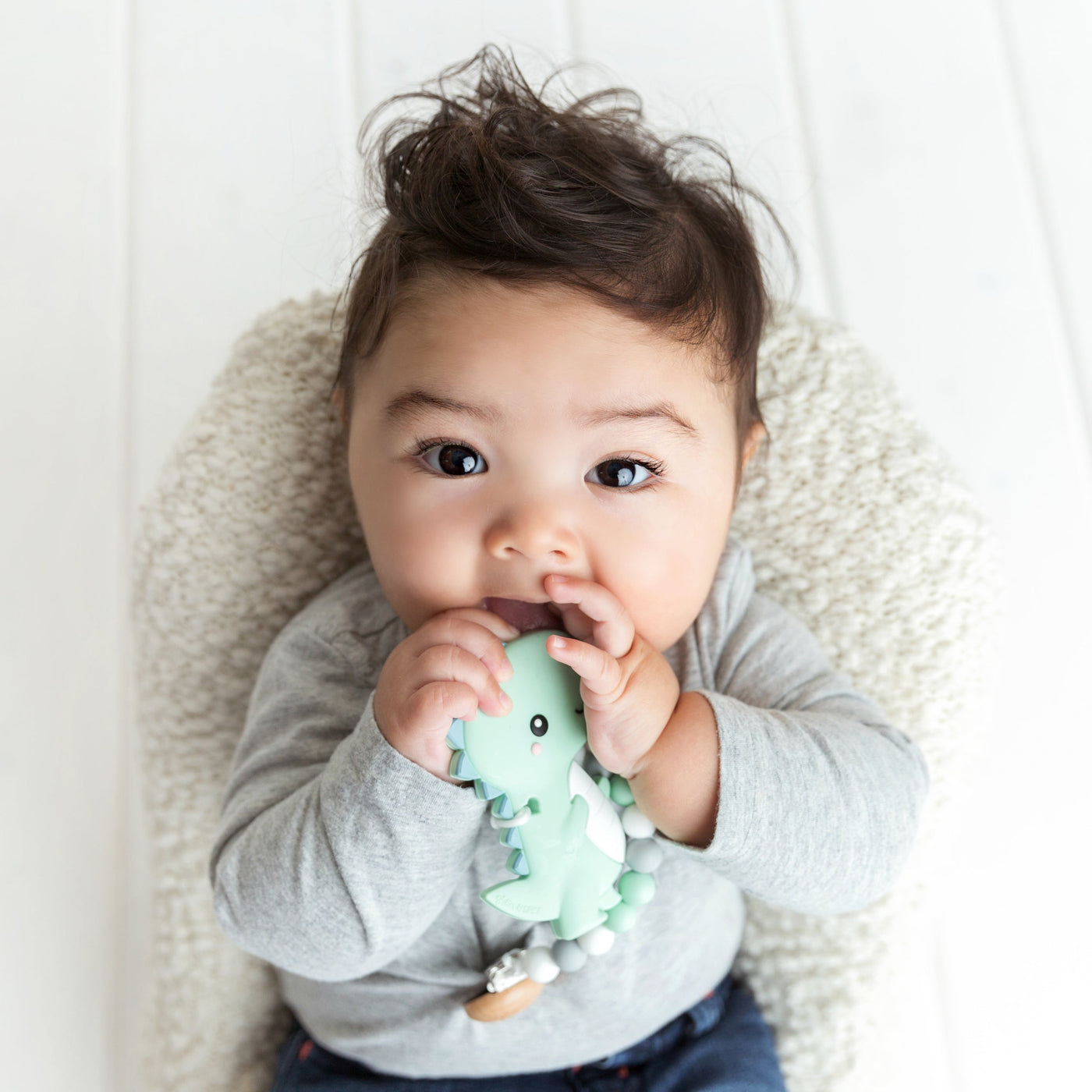 T-Rex Dino Silicone Teether - Glitter & Spice